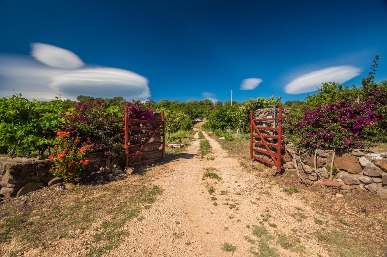 Sa Tanca 'e Pedduzza Holiday home